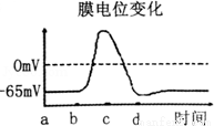 高中生物 题目详情 a.