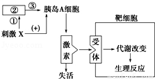 人口问题的实质_...相互依赖的整体.其中的关键因素和实质分别是 A.发展问题人