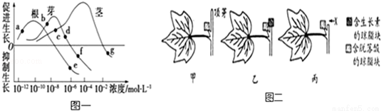 (8分)如图一表示棉花的根芽茎在不同生长素浓度下的生长情况.