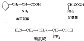 下列关于用高倍显微镜观察叶绿体和线粒体实验