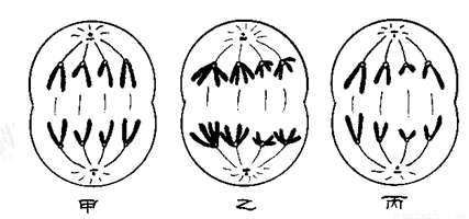 如图a.b.c表示生物体内三种生理过程.下列有关