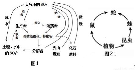 硫循环是物质循环的重要内容,图1是生物圈硫循环简图,请回答下列问题