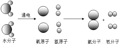 下图是电解水时,水分子分解过程示意图: 关于对该图的