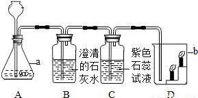 如图是实验室制取二氧化碳并验证其性质的实验装置图试根据题目要求