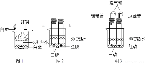 [查阅资料]白磷的着火点是40,红磷的着火点是240…燃烧产物五