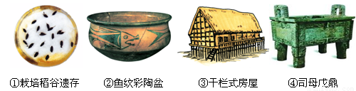 在下列图片中,反映长江流域河姆渡原始居民文化特征的是(  )