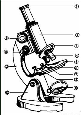 左图是显微镜结构图,请据图回答:(14分)