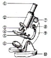 右图是光学显微镜结构图.请据图回答: (1)若1是