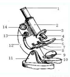 右下图是普通光学显微镜的结构图.据图回答下