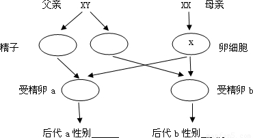 我国婴儿占人口的比例_外媒 人口政策放松将抑制中国房价上涨