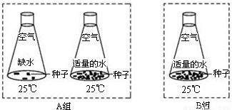 营养繁殖的原理_树木营养繁殖原理和技术