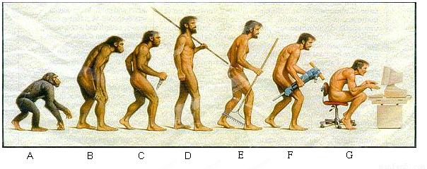 下图表示人类的进化过程.请据图回答下列问题