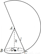 一个圆锥的高为cm.侧面展开图是半圆.