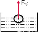分析:解决本题的关键是要明确浮力的方向(竖直向上),并要掌握力的示意
