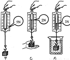 如图所示是认识浮力的探究实验(1)将物体悬挂在弹簧测力计下端.如(a)