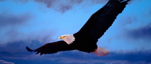 为了让同学们亲近自然.走进自然.感悟自然.初一