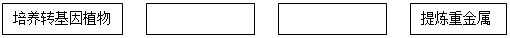 6ec8aac122bd4f6e