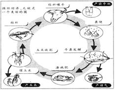 我国单位gdp能耗是日本的哆_水泥企业节能减排增效可否实现智能(2)