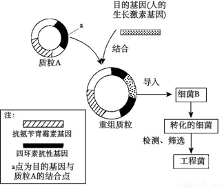 流动人口导入_人口流动图片(3)