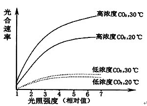 植物光合速率受多种环境因素的影响.下图表示
