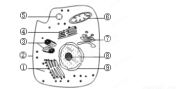高中生物 题目详情 下图表示某高等动物细胞亚显微结构,据图回答以下