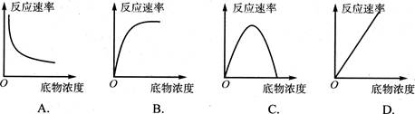 如果酶的数量一定下图中最确切地反映反应速率与底物浓度关系的是