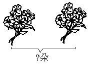 看图先填空.再写乘法算式. 朵花.有朵花.这是求相加.