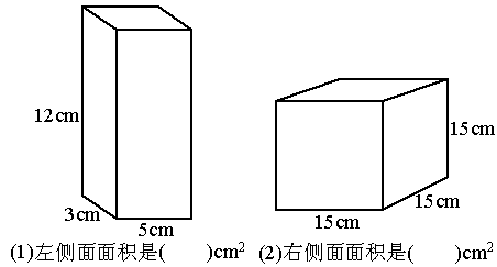 你能求下面长方体和正方体的右侧面面积吗试试看