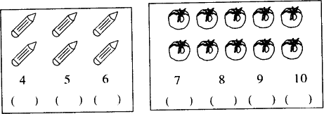 看图选数在正确的下面画