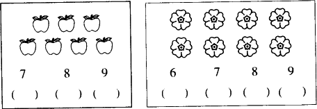 看图选数.在正确的下面画.