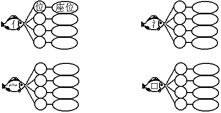 骨头读音[骨头读音发音]