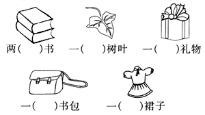 看图填上合适的量词