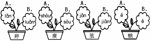 把读音正确的花朵涂上自己喜欢的颜色.