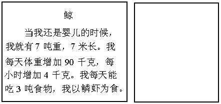 下面是一张海洋生物的名片,你可以作参考.希望你的设计与众不同.