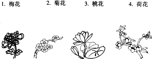 一年四季花儿常开.春天开.秋天开