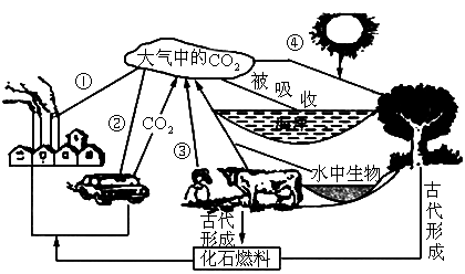 如图所示是自然界碳循环示意图.