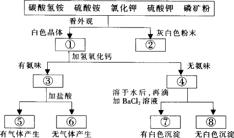 氯化钾的化学式