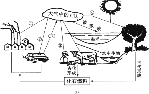 如图(a)是自然界碳循环示意图.