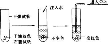 红色石蕊试纸变蓝某同学欲探究碳酸具有酸性而二氧化碳不具有酸性按