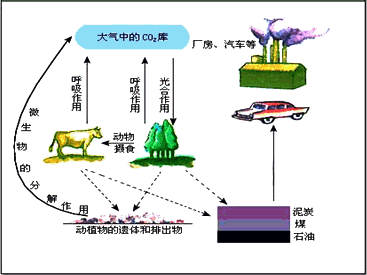 摘要:3.空气成份中含量最多的气体是a.氧气 b.二氧化碳 c.水蒸气 d.