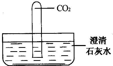 将盛有二氧化碳的试管倒插入盛有澄清石灰水的烧杯中,能看到的现象是