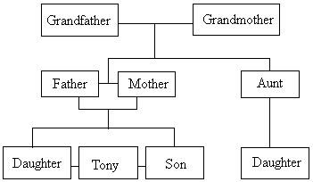 下面是 tony 的家谱,在其后的短文中填入适当的单词,使该短文完整.