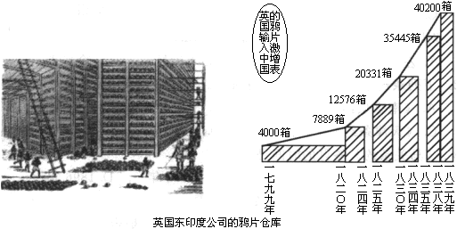 (1)根据如图所示的《英国输入中国的鸦片激增表,你能看出19世纪上半