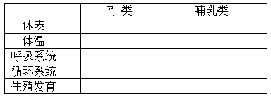 比较鸟类和哺乳类的形态特征,有哪些相同点和不同点?