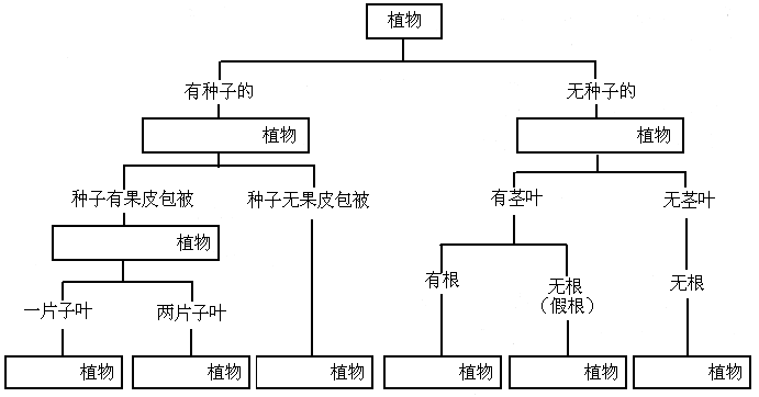 完成下列概念图血细胞血液