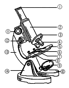 下图是显微镜结构示意图.