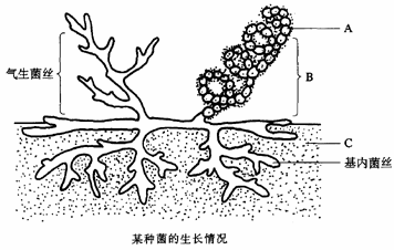 下图表示某种"菌 的生长情况.请根据图回答下列.