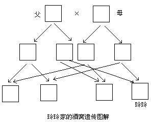 请写出他们家的遗传图解.