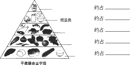 五类食物将这个塔分为一个三角形和四个梯形.请你为各类食物确定名称.