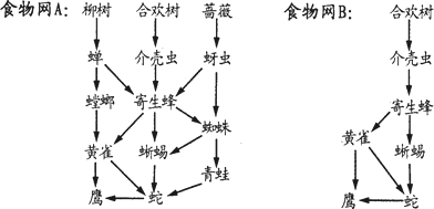 请分析下面两个生态系统中的食物网简图.